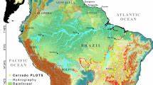 Tree species hyperdominance and rarity in the South American Cerrado