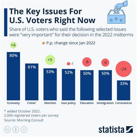 2. Issues and the 2024 election