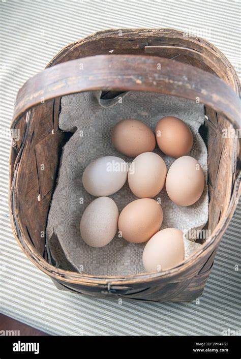 Kitchen Shrink: Don’t put all your eggs in one basket – if you can even find them