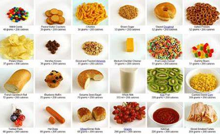 What 200 Calories of Various Foods Looks Like (2013)