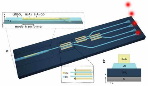 Integrated Brillouin photonics in thin-film lithium niobate