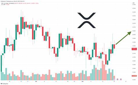 XRP Price Prediction as Market Cap Reaches $20 Billion – Can XRP Reach $10? - Cryptonews