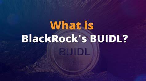 BlackRock’s $3 Billion Tokenized Fund BUIDL and sBUIDL Token Launch on Avalanche DeFi Ahead of London Summit