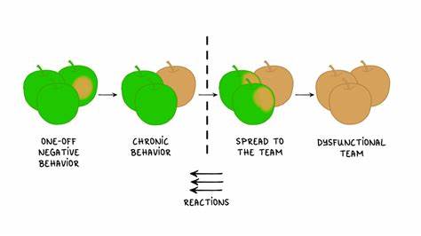 Bad Apples Spoil the Barrel: Negative Members and Dysfunctional Groups