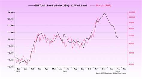 Bitcoin liquidity index points to $110K local BTC top by January 2025
