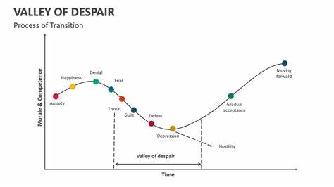 The valley of engineering despair