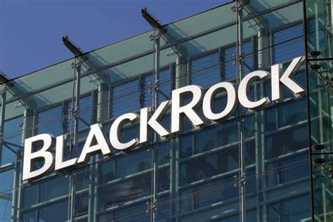 BlackRock Reportedly To Take 10% Of Circle IPO: Major Asset Manager Doubles Down on Stablecoin Strategy