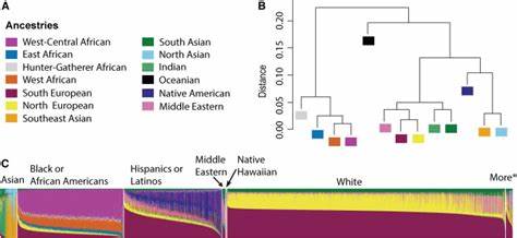 Subcontinental Genetic Variation in the All of Us Research Program