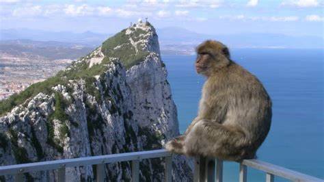 Gibraltar slaps £250k fine on WaveCrest; CEO stands down - Financial Times