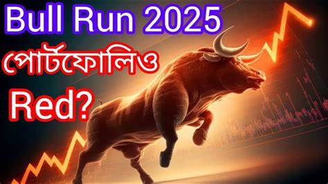 What’s Fueling the 2025 Bull Run?