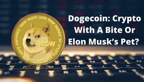 Wird Dogecoin Frenzy Bitcoin einen Bissen nehmen? - PYMNTS.com
