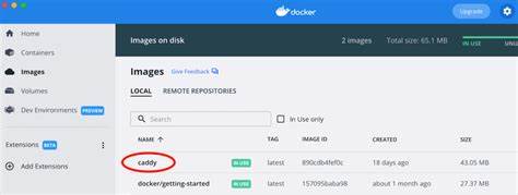 Lightweight Server management script se – back end with Docker,Caddy Web Server