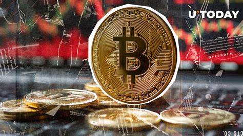 Bitcoin Enters Strongest Accumulation Phase Since January as BTC Price Passes $110K