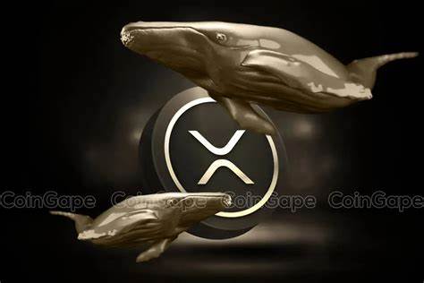 Ripple Whale Moves $782M in XRP: How Could XRP Price React?