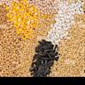 Corn Getting Spillover Support from Wheat