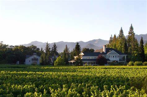 Duckhorn to consolidate portfolio, close tasting rooms