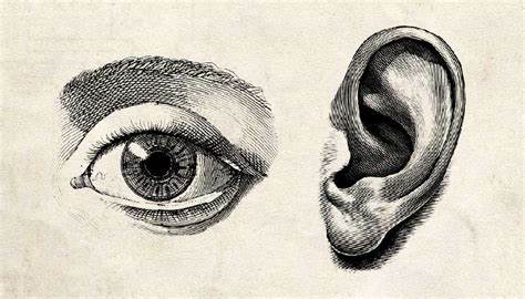 DSH/Warcoded: Eyes and Ears of the Machine