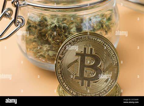 Drugs, Drugs and More Drugs: Crypto on the Dark Web - CoinDesk