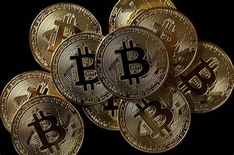 What Is Pups Crypto? Bitcoin's 'First' Meme Coin On Runes Protocol Explodes - Benzinga