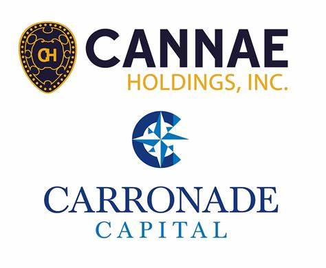 Cannae, Shenandoah, and More Stocks See Action From Activist Investors