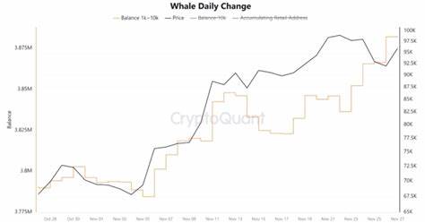 Bitcoin whales 'took advantage' of $90K BTC price dip, scooping up $1.5B