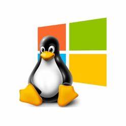 Run Windows apps in Linux as if they were a part of the native OS