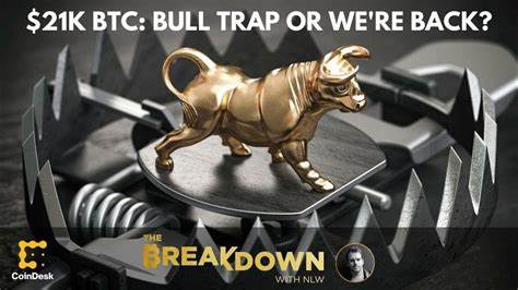 Bitcoin at $21K: Bull Trap or Ooo Baby We're Back?