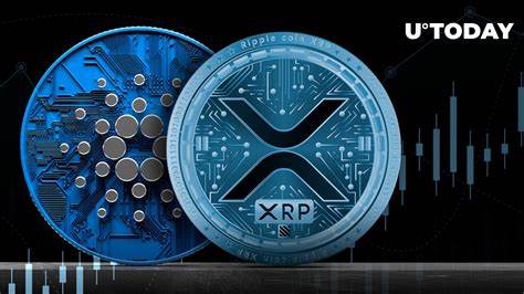 Crypto insiders expect ADA, XRP, and this explosive newcomer to deliver 1000% returns in 2025