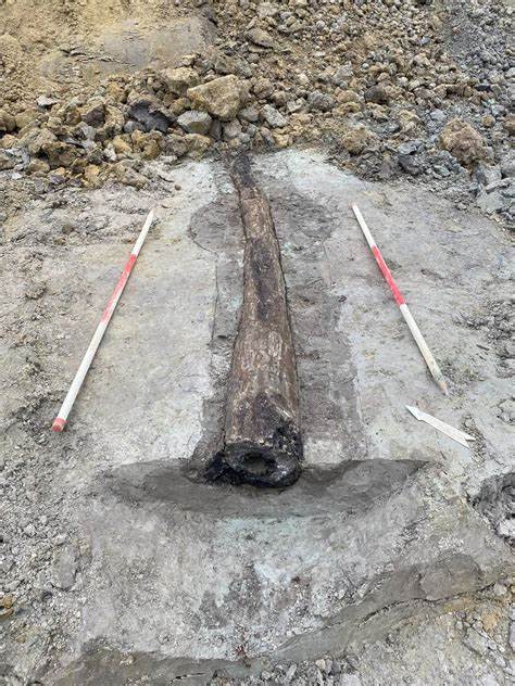 1,700-year-old wooden water pipe unearthed in Belgium