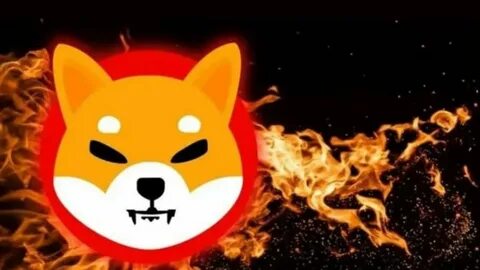 Shiba Inu Burn Rate Explained: Understanding Token Burning - BeInCrypto
