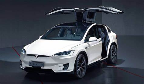 Is 2025 a "Throwaway Year" for Tesla?