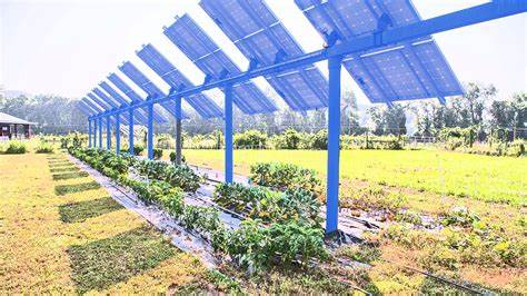 Farmers are making bank harvesting a new crop: Solar energy