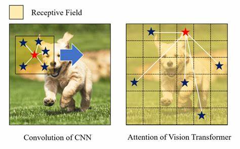 The Speed of VITs and CNNs