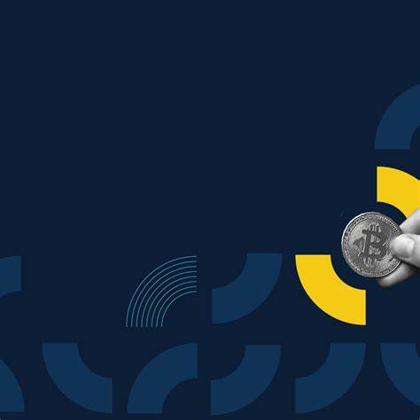 12 VC-Firmen investieren in Blockchain und Kryptowährung – PitchBook News & Analysis
