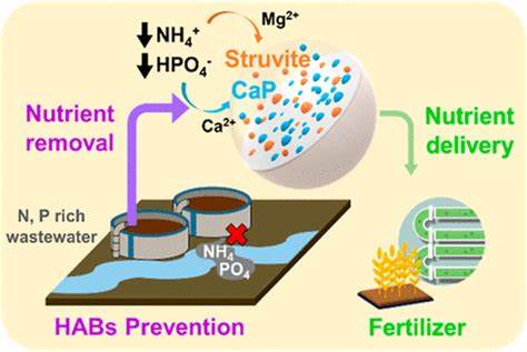 New Hydrogel Turns Toxic Wastewater and Algae Blooms into Garden Gold