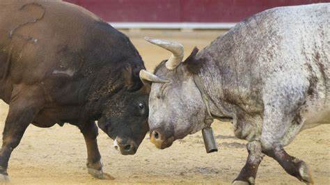 Bitcoin Bulls Eye $70K Amid Donald Trump's Rising Chances of Returning as President - CoinDesk