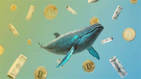 What is a bear raid, and how do whales use them in crypto trading?