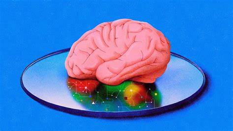 AI scientists are producing new theories of how the brain learns