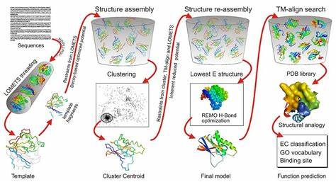 Why Did DeepMind Solve Protein Folding?