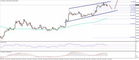 Technische Bitcoin-Analyse – Der BTC/USD-Bullenmarkt wird anhalten – NewsBTC
