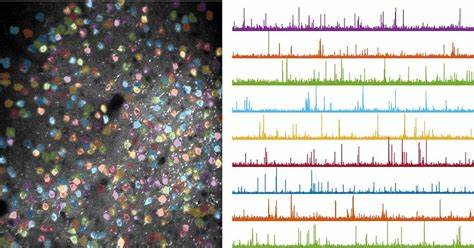 Where (and How) Brain Circuits Are Reshaped as We Learn New Movements