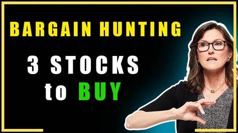 Cathie Wood Goes Bargain Hunting: 3 Stocks She Just Bought