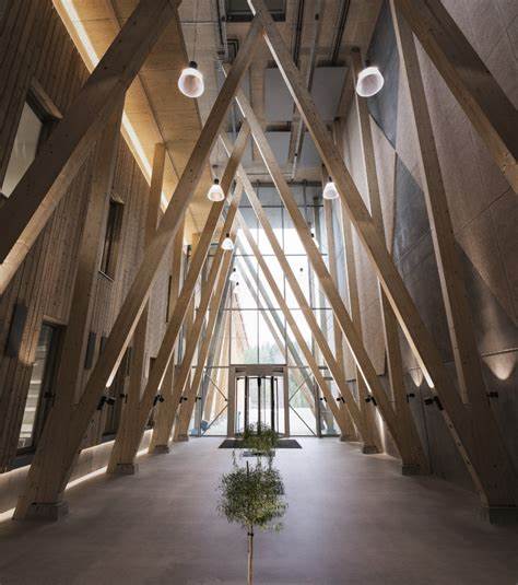 Material World: Suzano Sells Woodspin Shares to Spinnova
