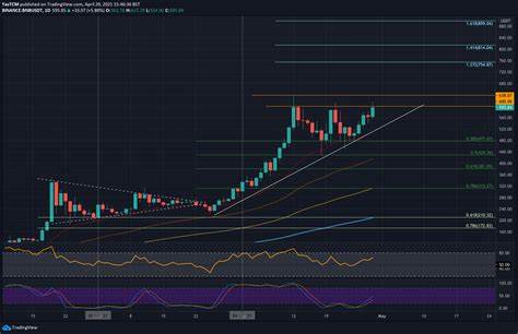 Will BNB Break the $600 Barrier with CZ’s Return This Week - The Currency Analytics