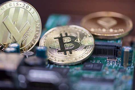 Avalanche Foundation's memecoin acquisition plan prompts 200% rally in meme token prices - CryptoSlate