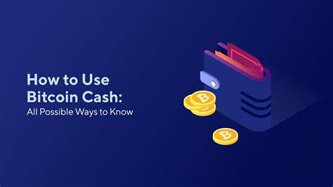 How to use Bitcoin Cash - Bitcoin.com