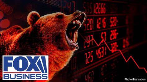 US economist predicts 2024 will bring 'biggest crash of our lifetime' - Fox Business
