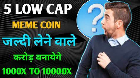Invest in These Meme Coins Today for Potential 1000x Returns by 2025 - Brave New Coin Insights