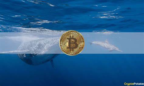 Whales Swallow $11.2B in BTC Ahead of Options Expiry – Bitcoin Passive Income Project Hits $4.2M in ICO