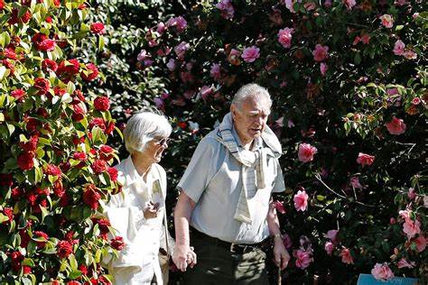 Scientists discover what drives the maximum lifespan potential of mammals